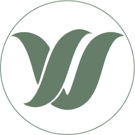 SV Finserv